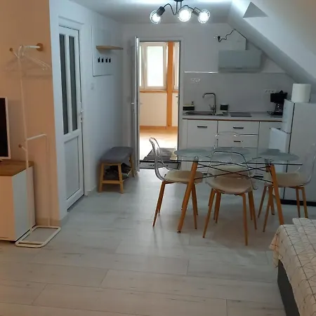 Casa De Vacanta Guest house *