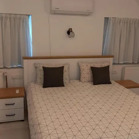 Casa De Vacanta Guest house *